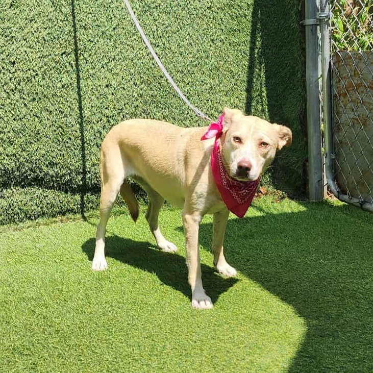 Betty — thumbnail 4