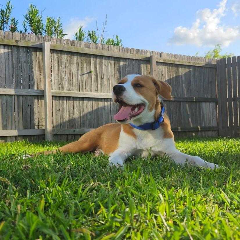 Nonny — thumbnail 2