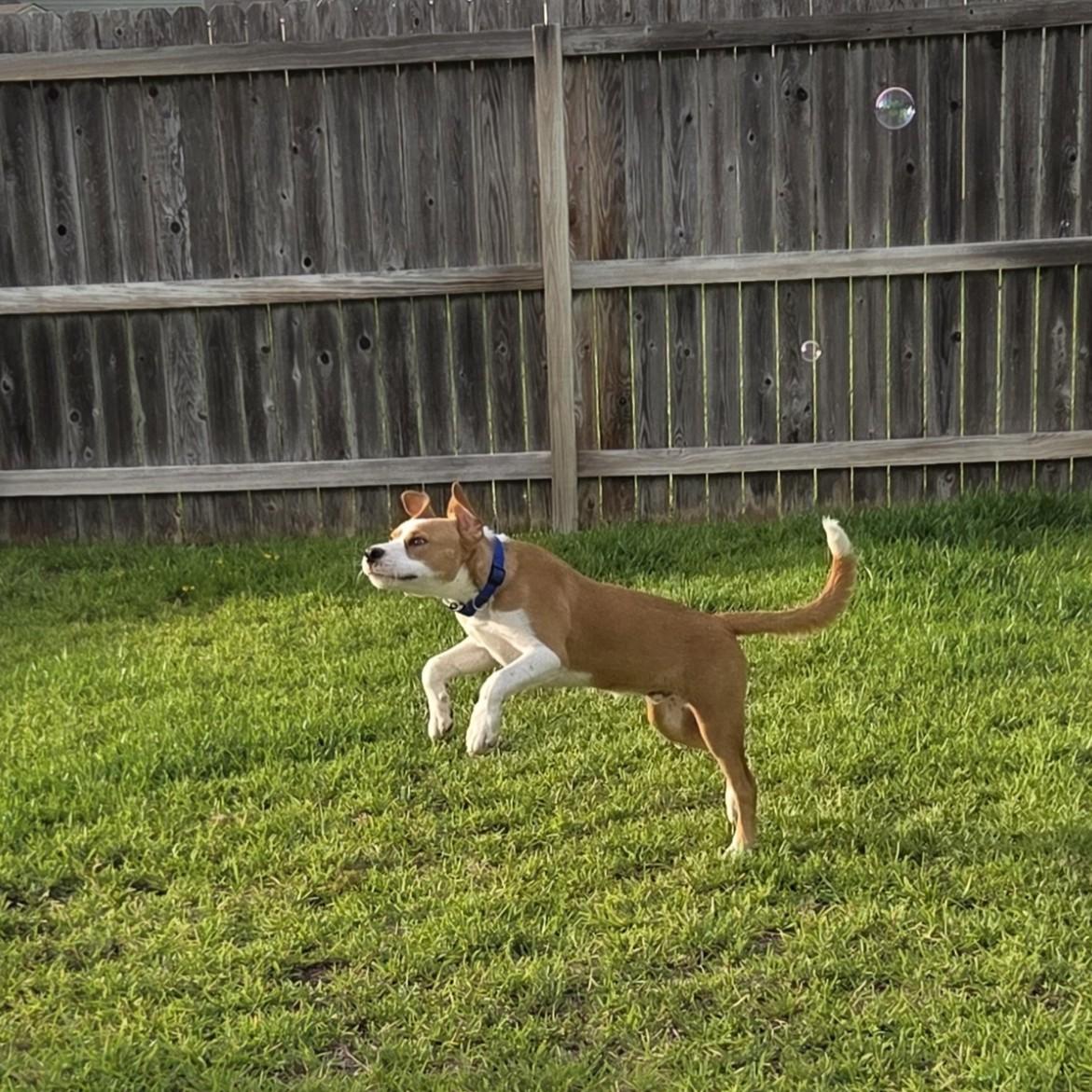 Nonny — thumbnail 5