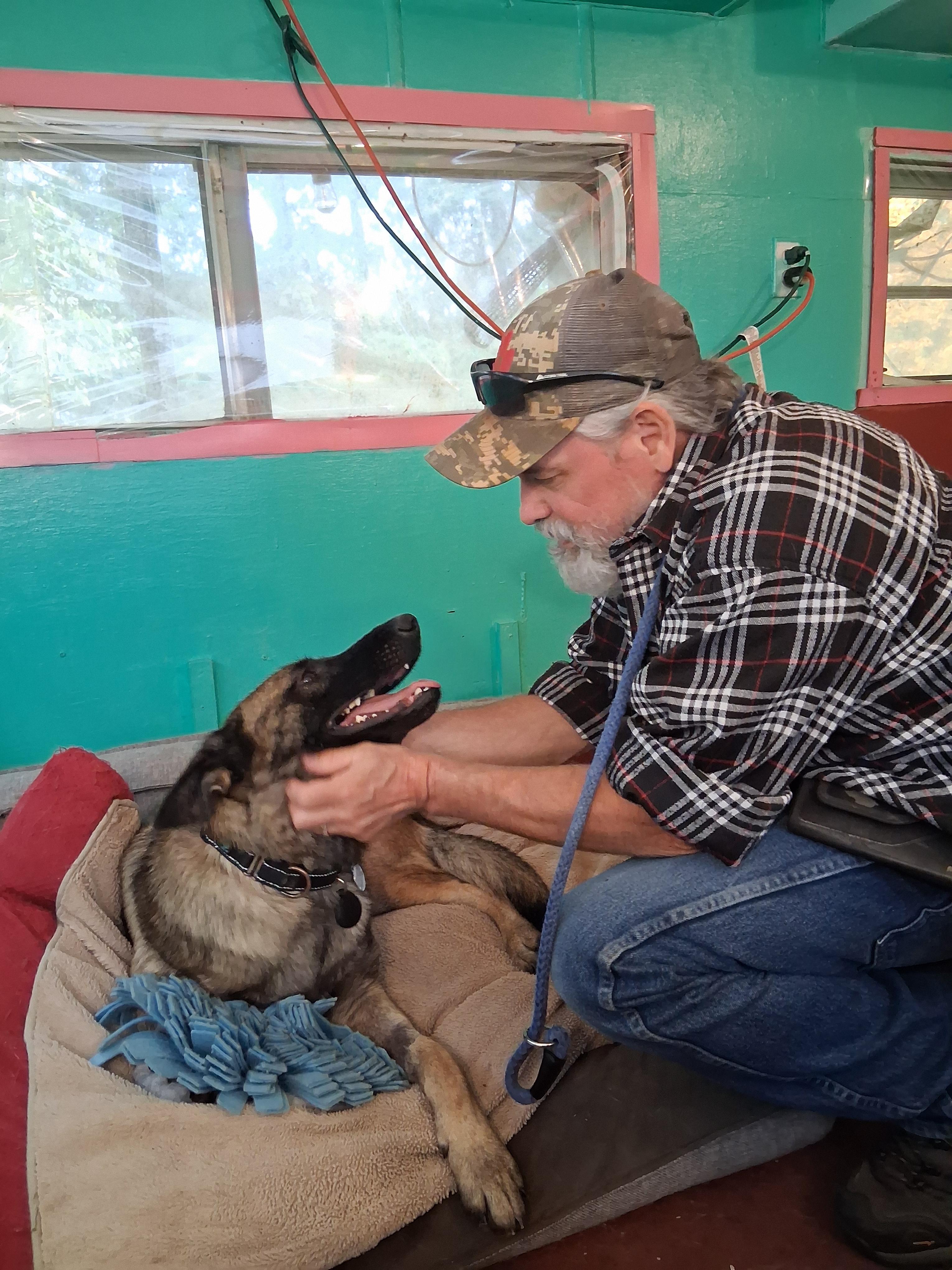 Enlarge Elsa, an adoptable mixed breed in Eugene, OR image 2/3