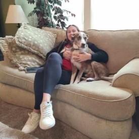 Roscoe, a Adoptable mixed breed in Shawnee, KS image 6/6