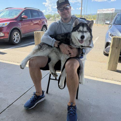 Yule, a Adoptable Siberian Husky in Grand Junction, CO image 3/4