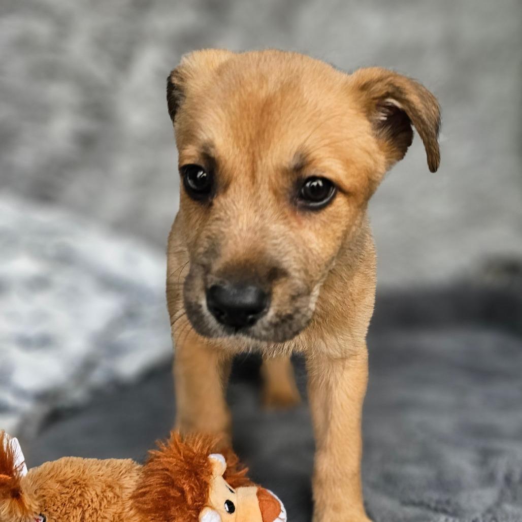 Jake — thumbnail 2