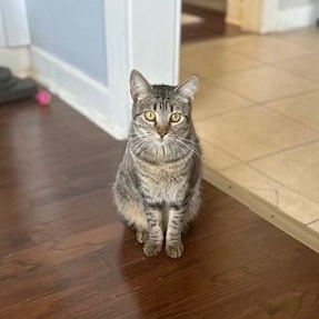 Lilith — thumbnail 3