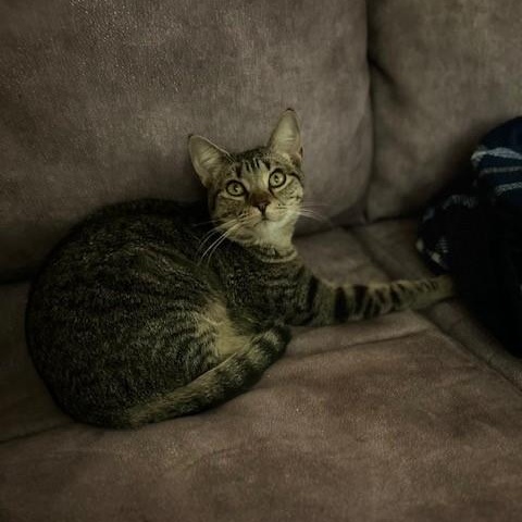 Lilith — thumbnail 4