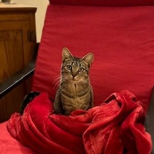 Lilith — thumbnail 5