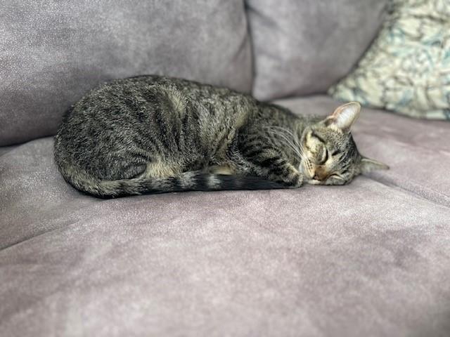 Lilith — thumbnail 6