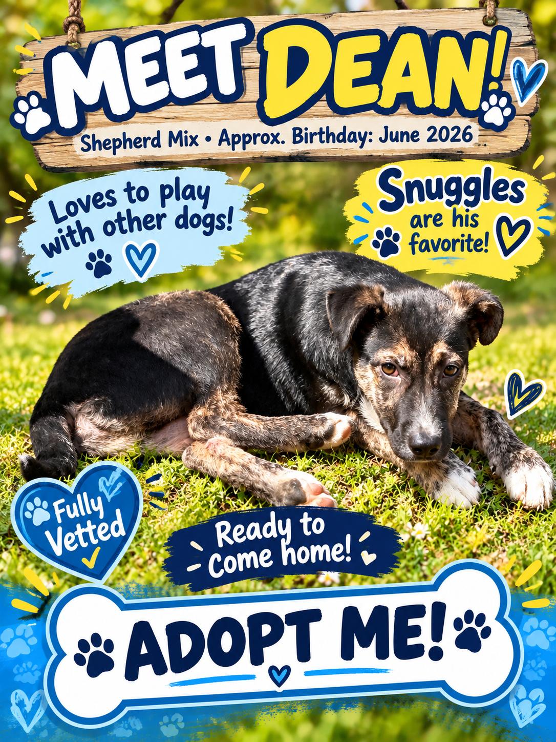 Enlarge Dean, a Adoptable mixed breed in Ooltewah, TN image 5/6