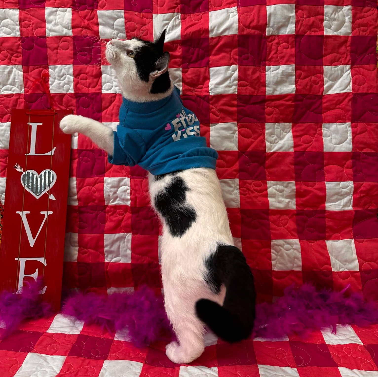 Valentine