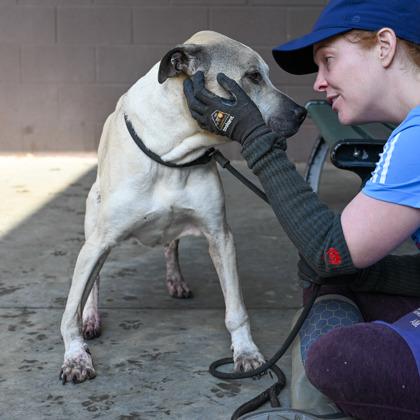 Paulo — thumbnail 4