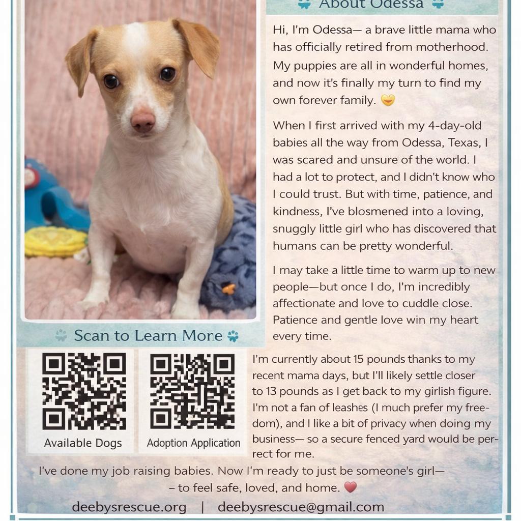 Enlarge Odessa, a Adoptable mixed breed in Hudson, IL image 4/5