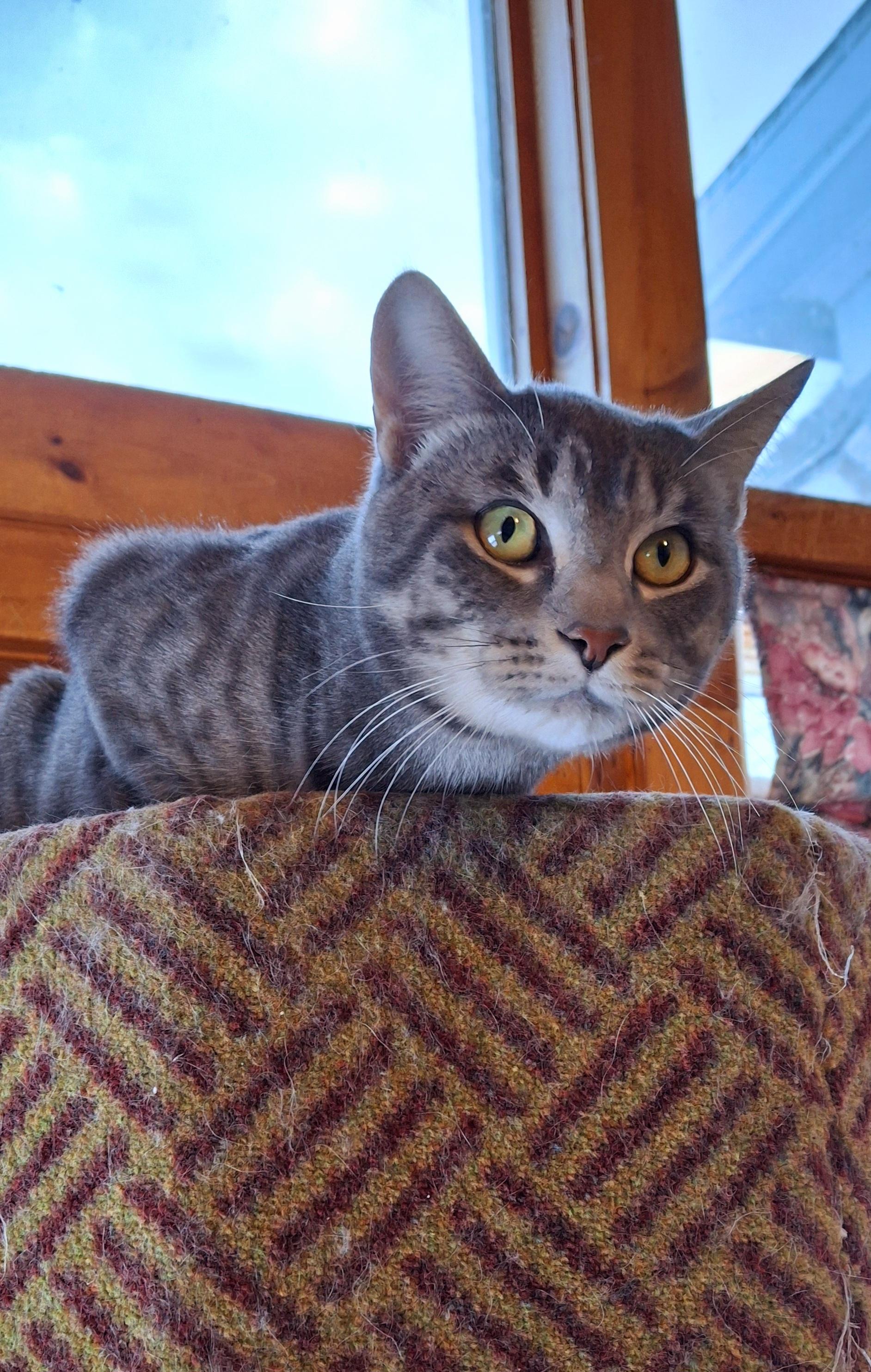 Ozzy photo 2