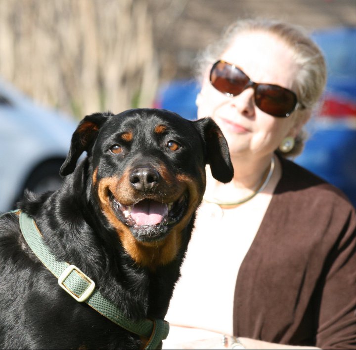 MOLLY--AN ANGEL, FOSTERS NEEDED!  photo 1