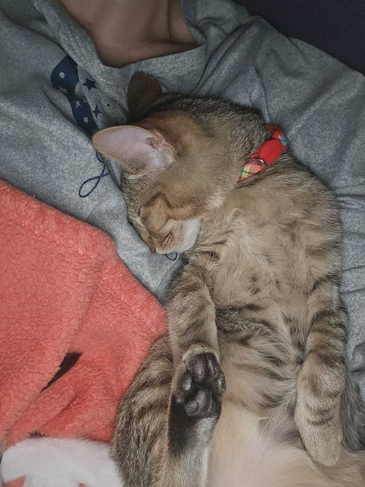 Banksy — thumbnail 5