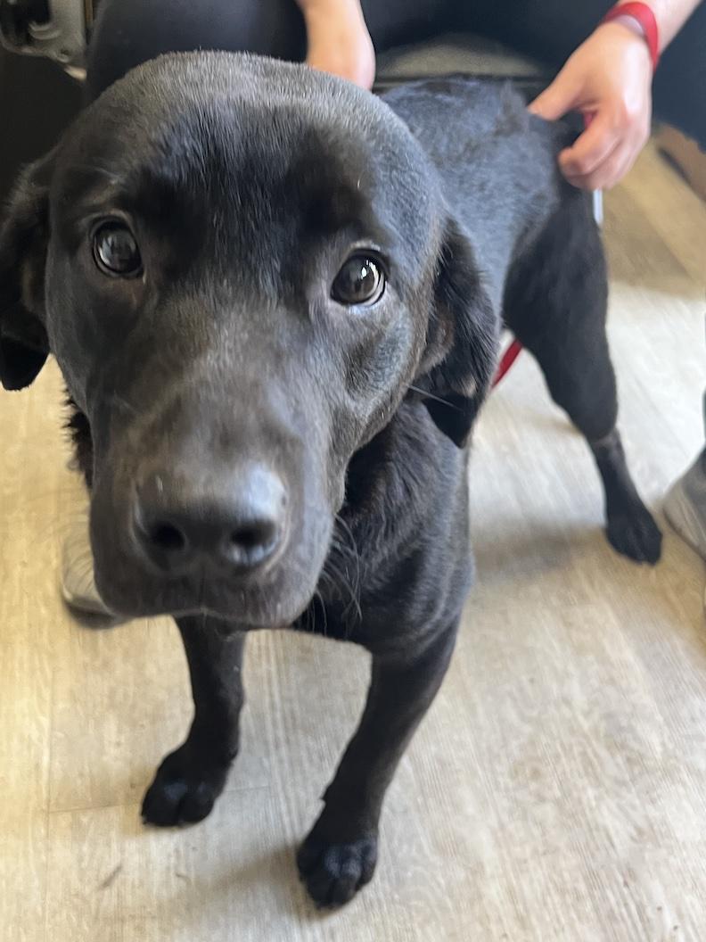 Grover-Not Accepting Applications Yet!