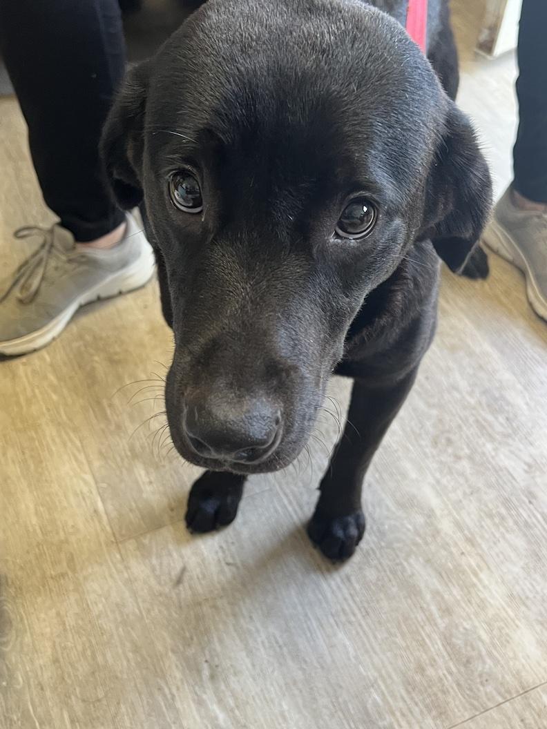 Grover-Not Accepting Applications Yet!