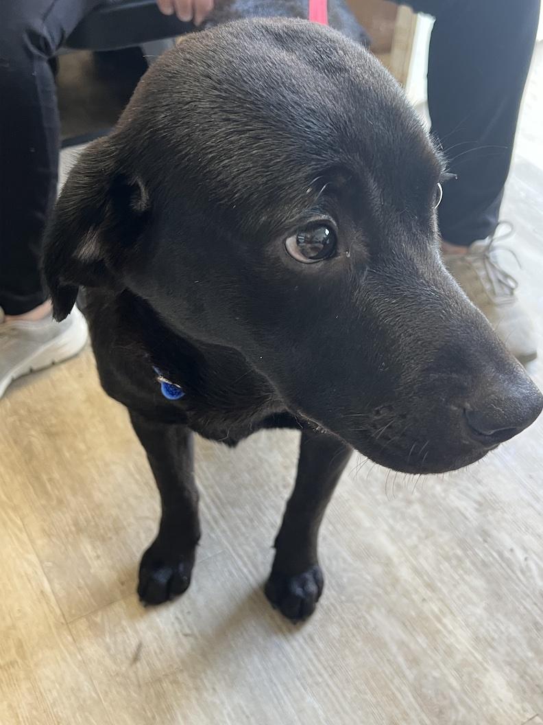 Grover-Not Accepting Applications Yet!