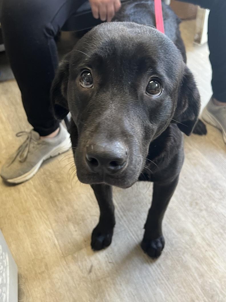 Grover-Not Accepting Applications Yet!