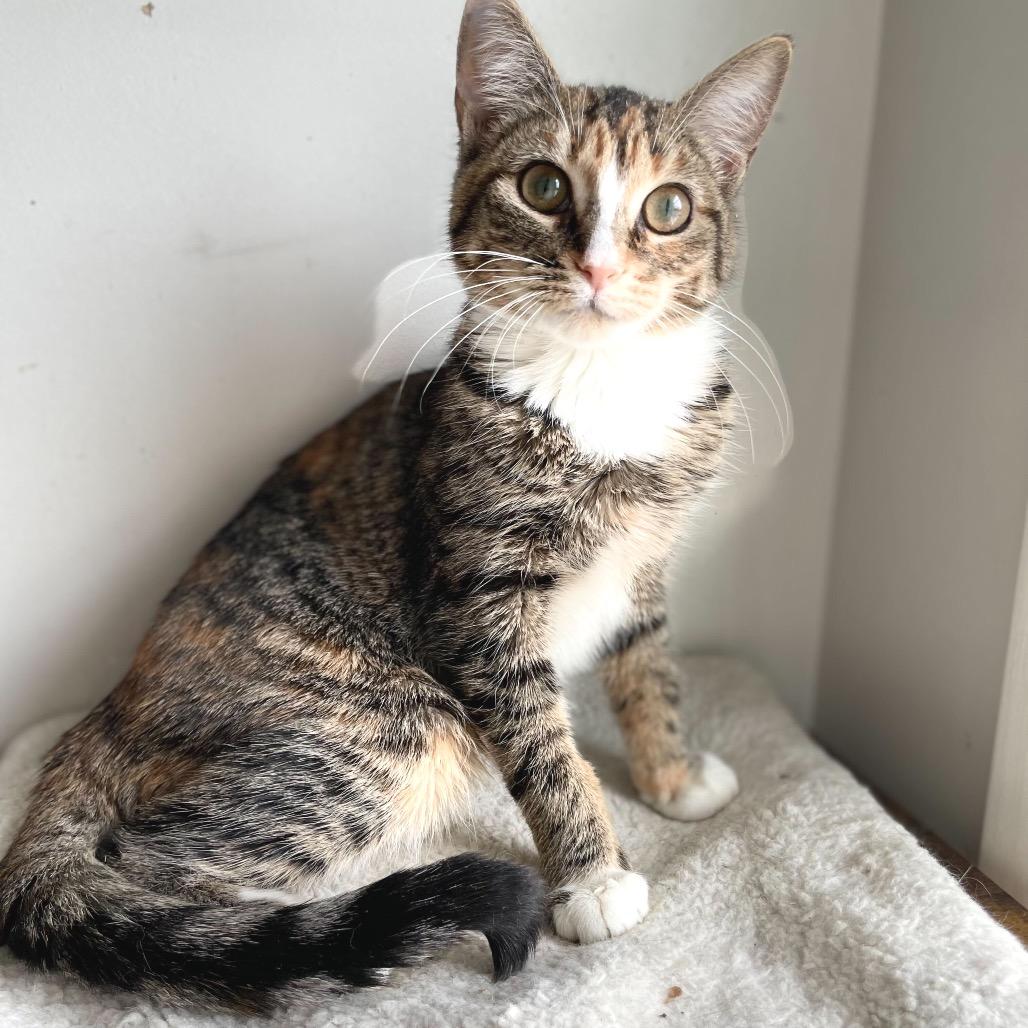 Berry Boo thumbnail 3