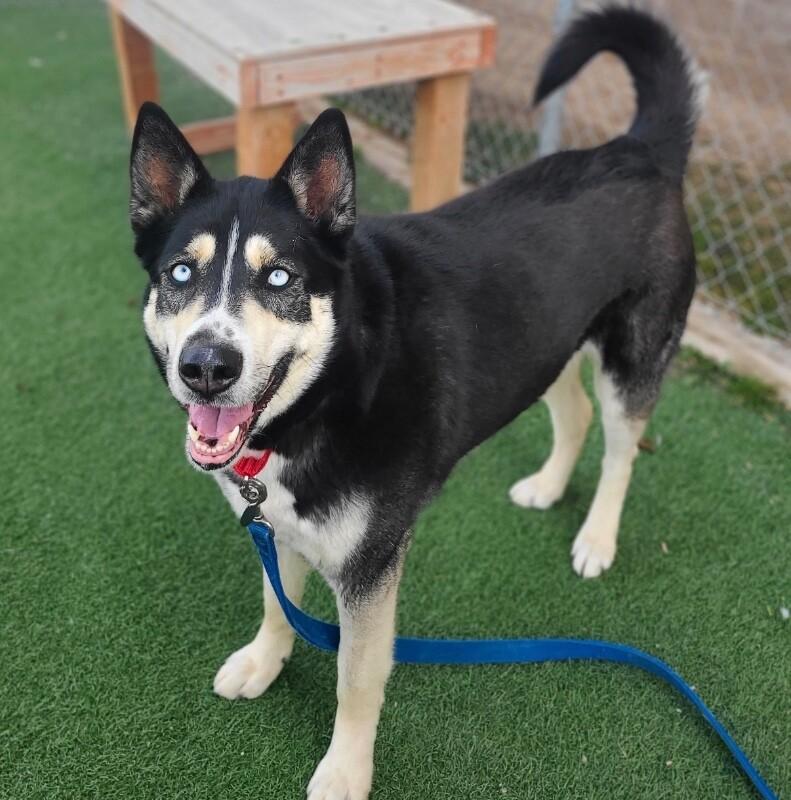 Evanescence — thumbnail 2