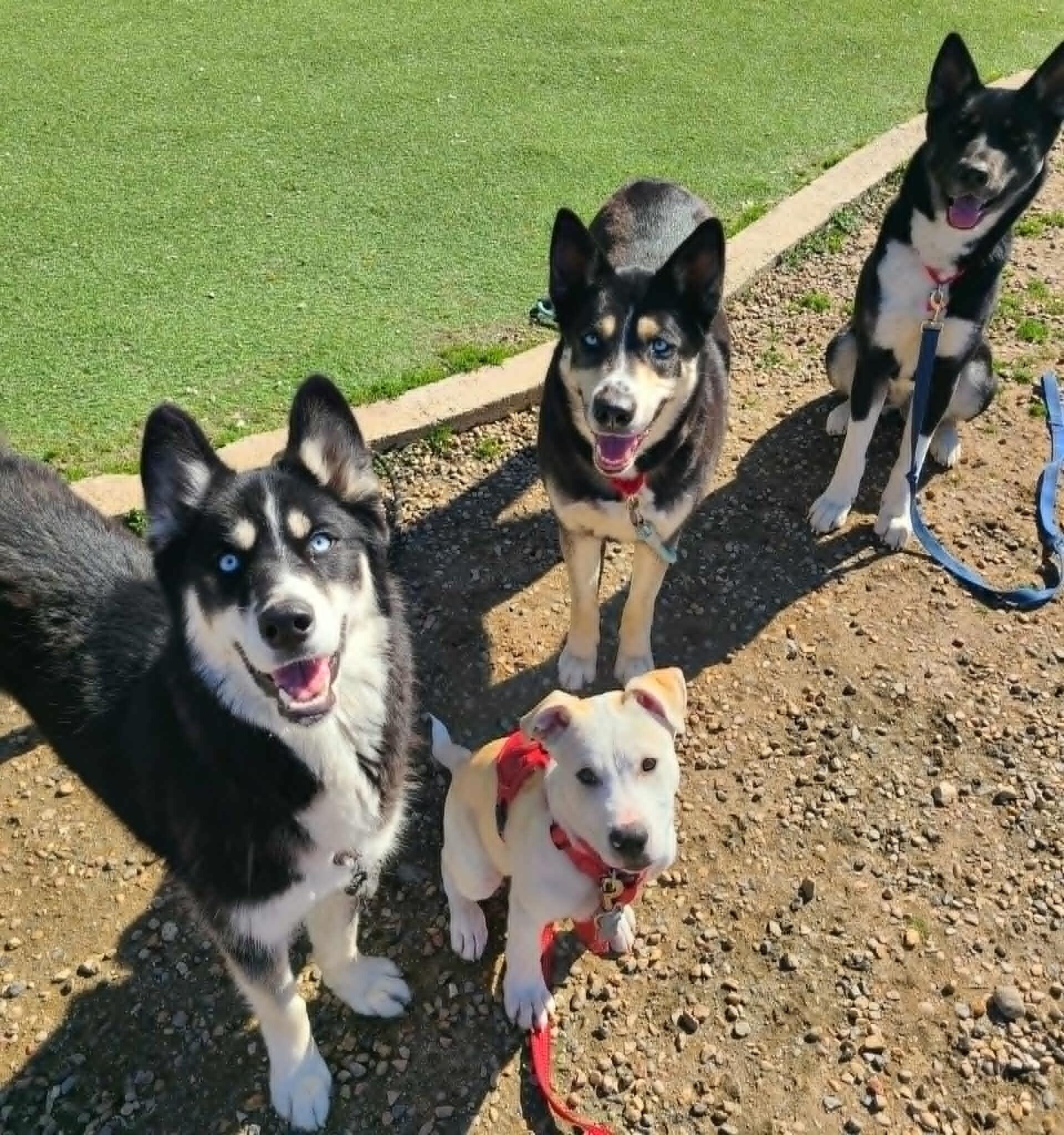 Evanescence — thumbnail 3