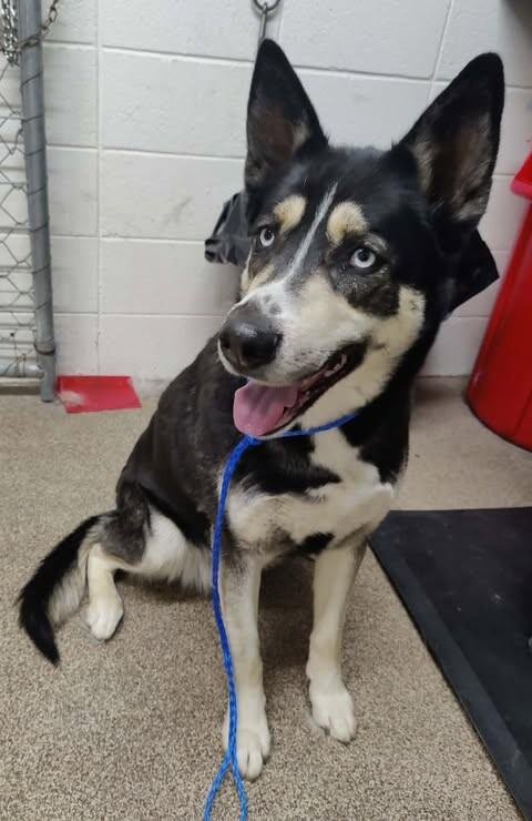 Evanescence — thumbnail 4