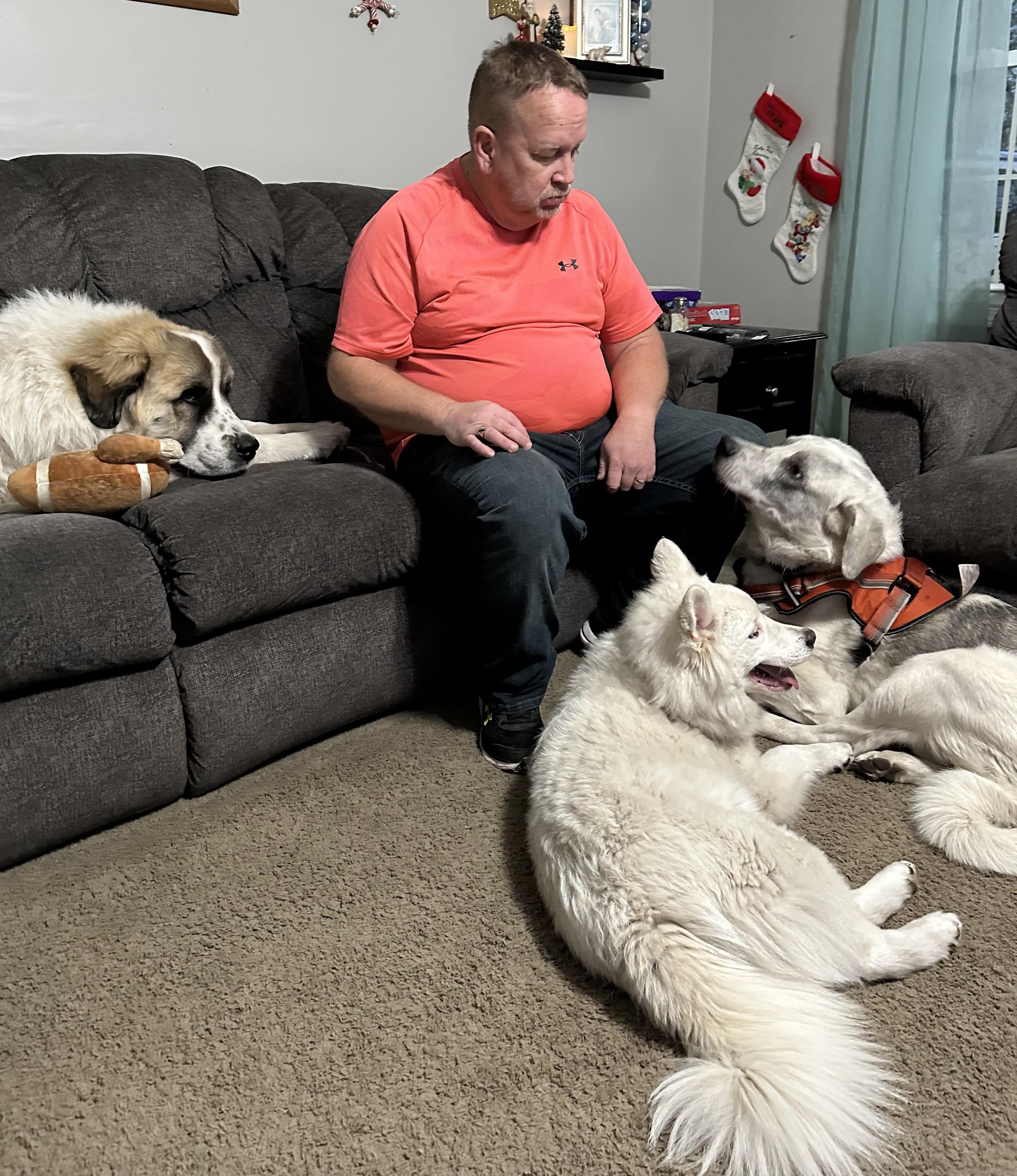 Leo - Maremma Mix - Foster Needed - Juvenile - Cuddler & Snuggler, a Adoptable mixed breed in Indianapolis, IN image 2/6