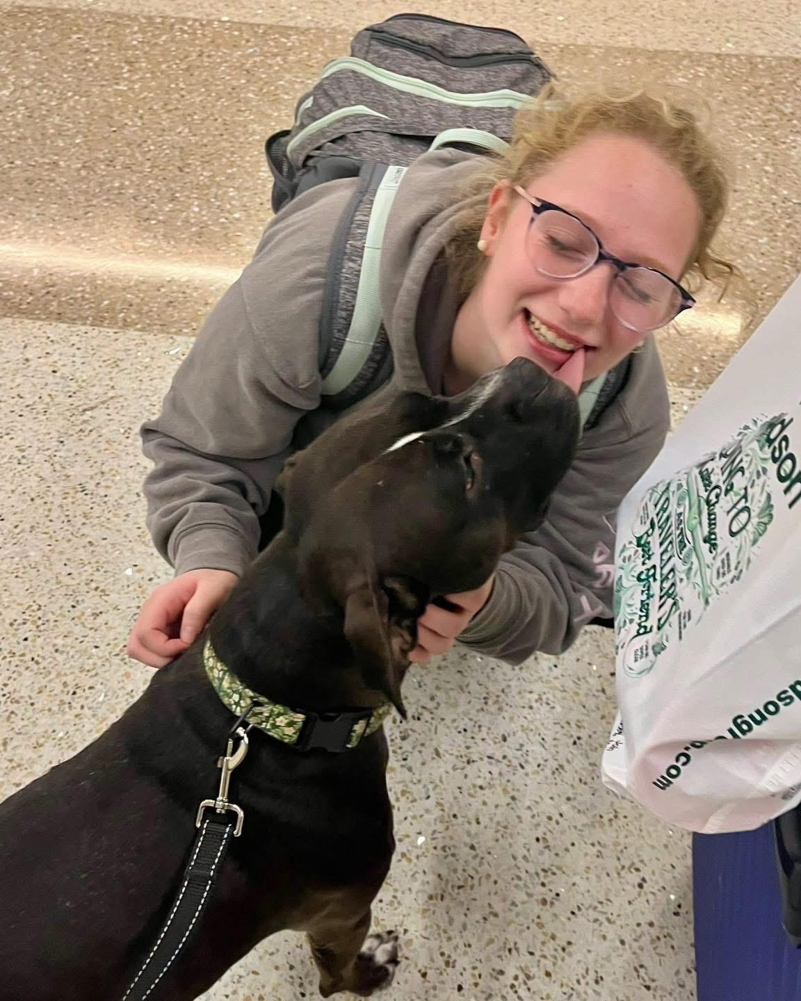 Enlarge Lady, a ADOPTABLE Pit Bull Terrier in Grand Haven, MI image 4/6