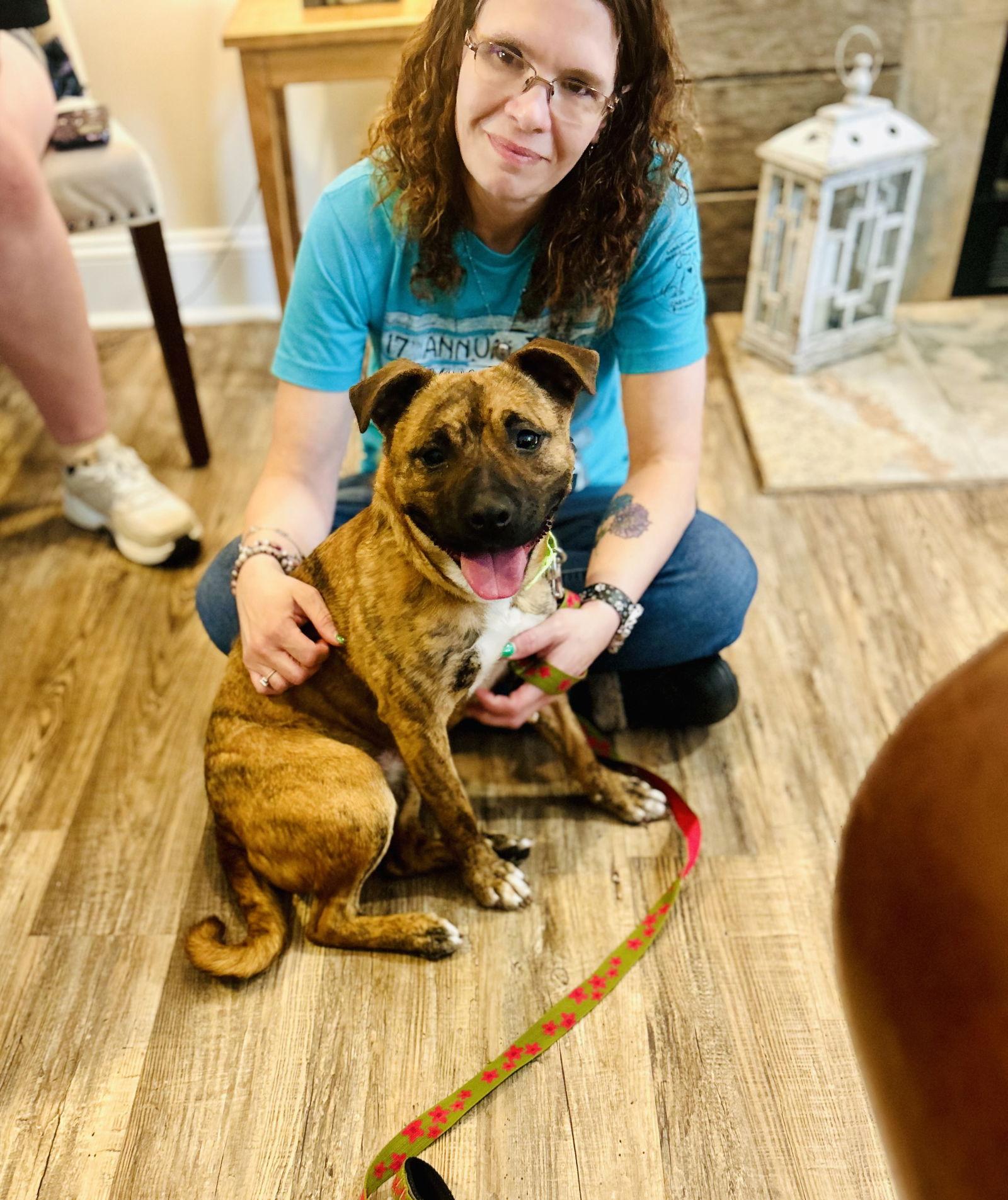 Enlarge HERMOINE, a Adoptable Mixed Breed in Sanford, NC image 2/2