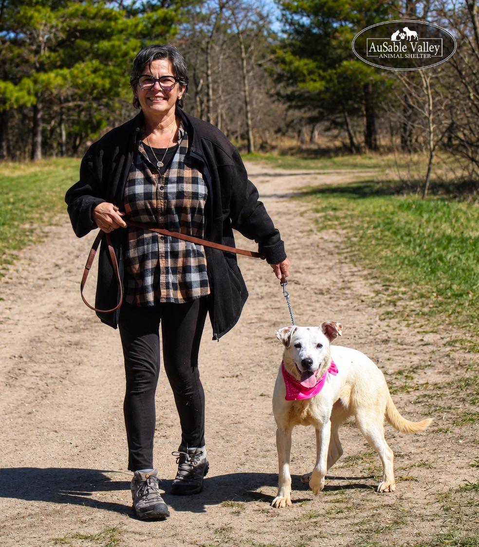 Enlarge Bonnie, a ADOPTABLE mixed breed in Grayling, MI image 4/6