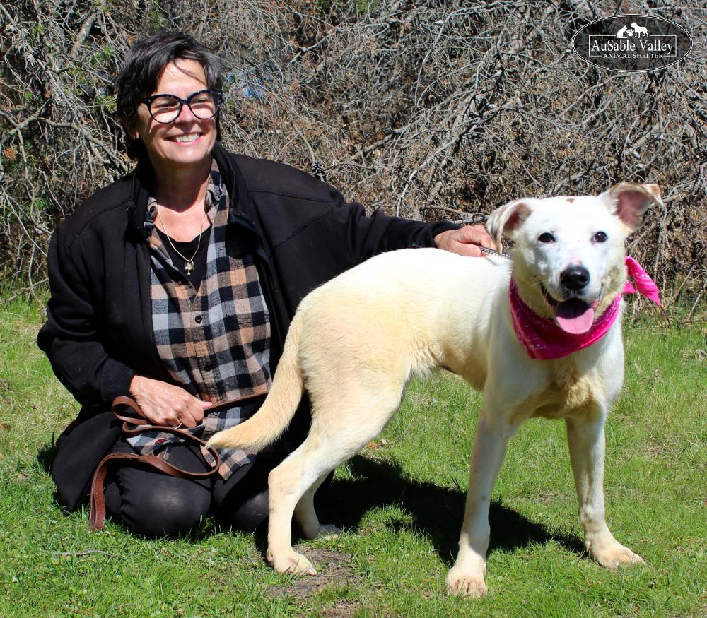 Enlarge Bonnie, a ADOPTABLE mixed breed in Grayling, MI image 6/6