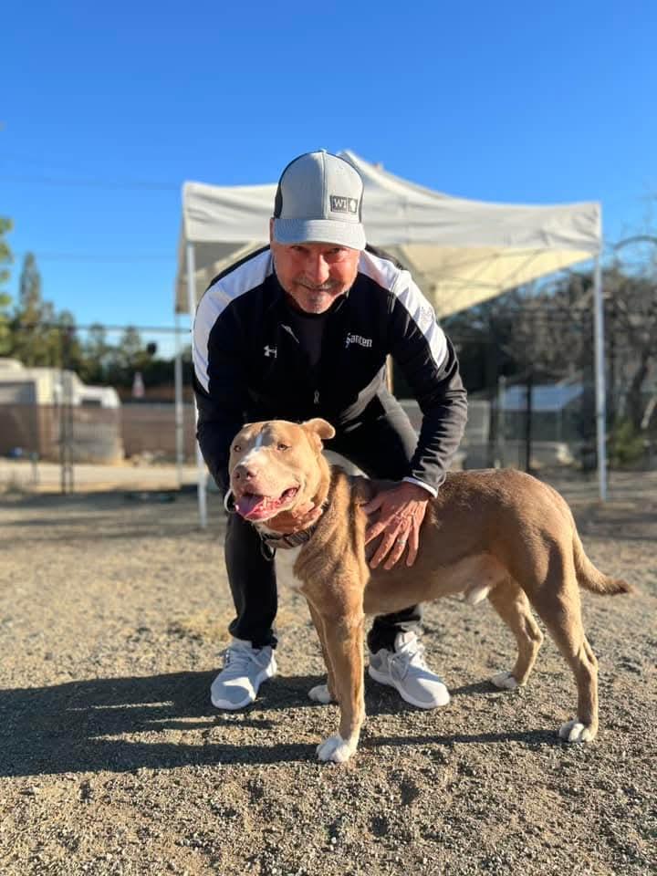 Cesar, a Adoptable mixed breed in Concord, CA image 3/6