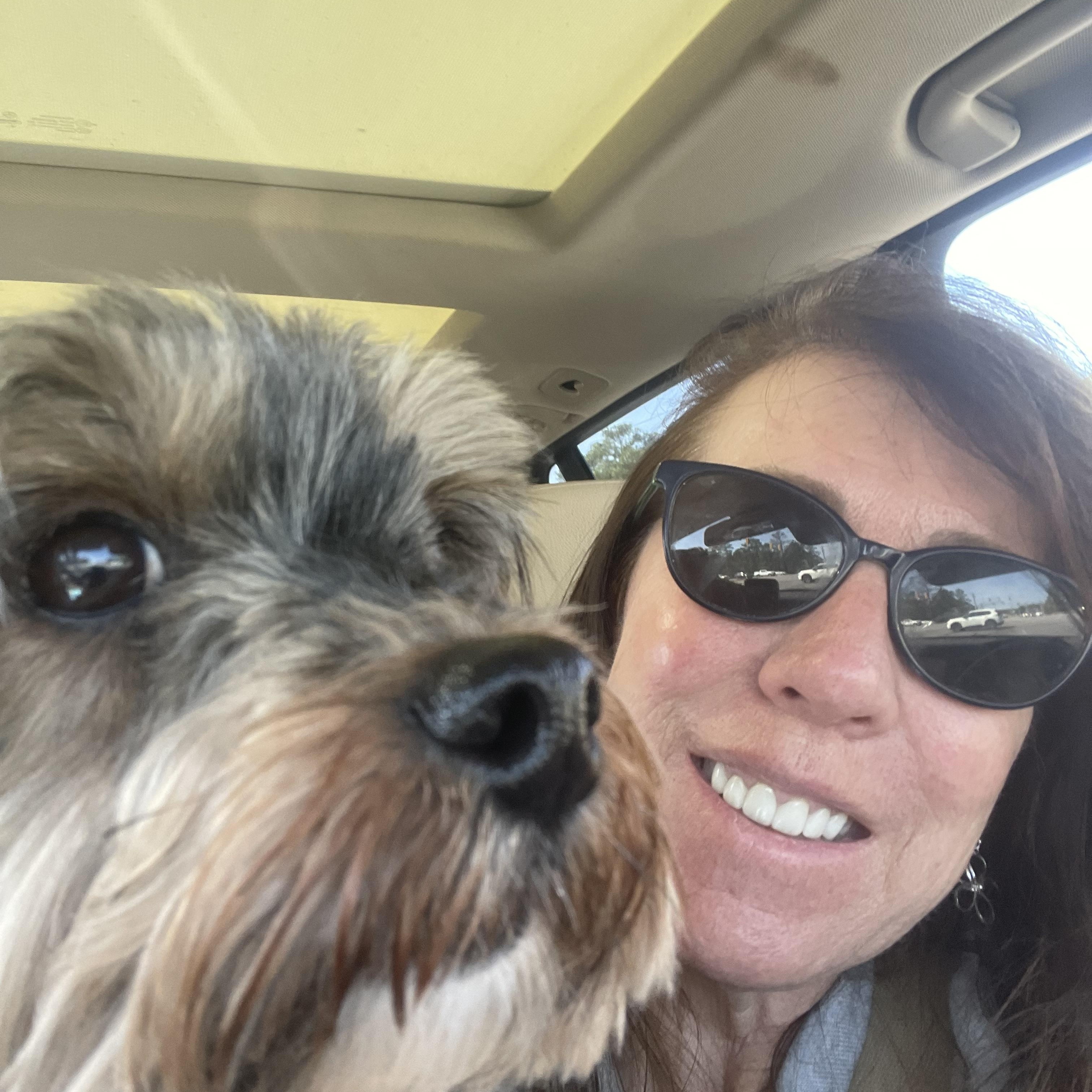 Enlarge Duke, a ADOPTABLE Mixed Breed in Cary, NC image 3/4