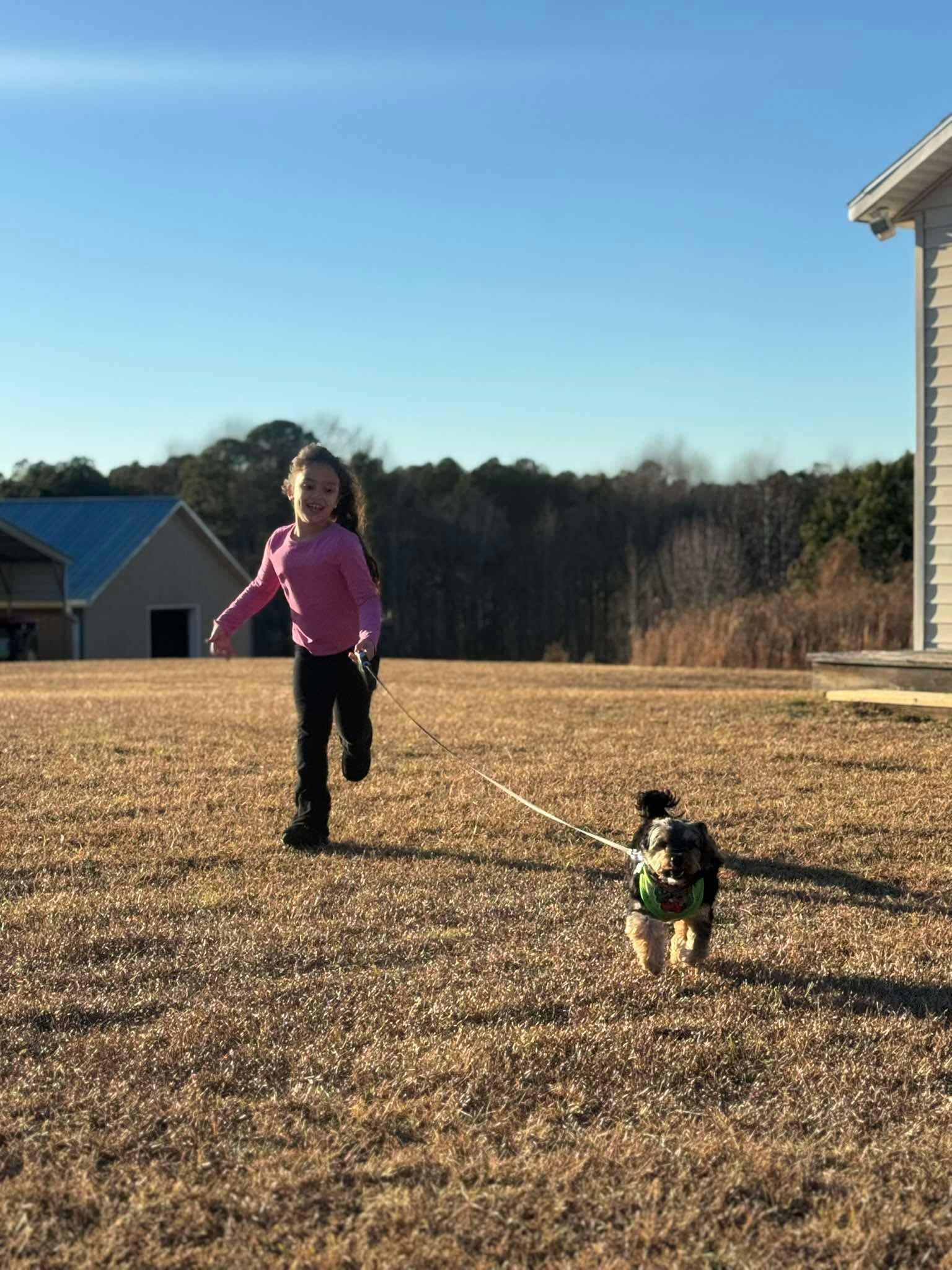 Enlarge Duke, a ADOPTABLE Mixed Breed in Cary, NC image 4/4