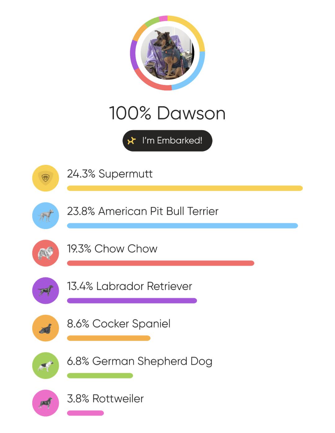 Enlarge Dawson, a Adoptable mixed breed in Raeford, NC image 6/6