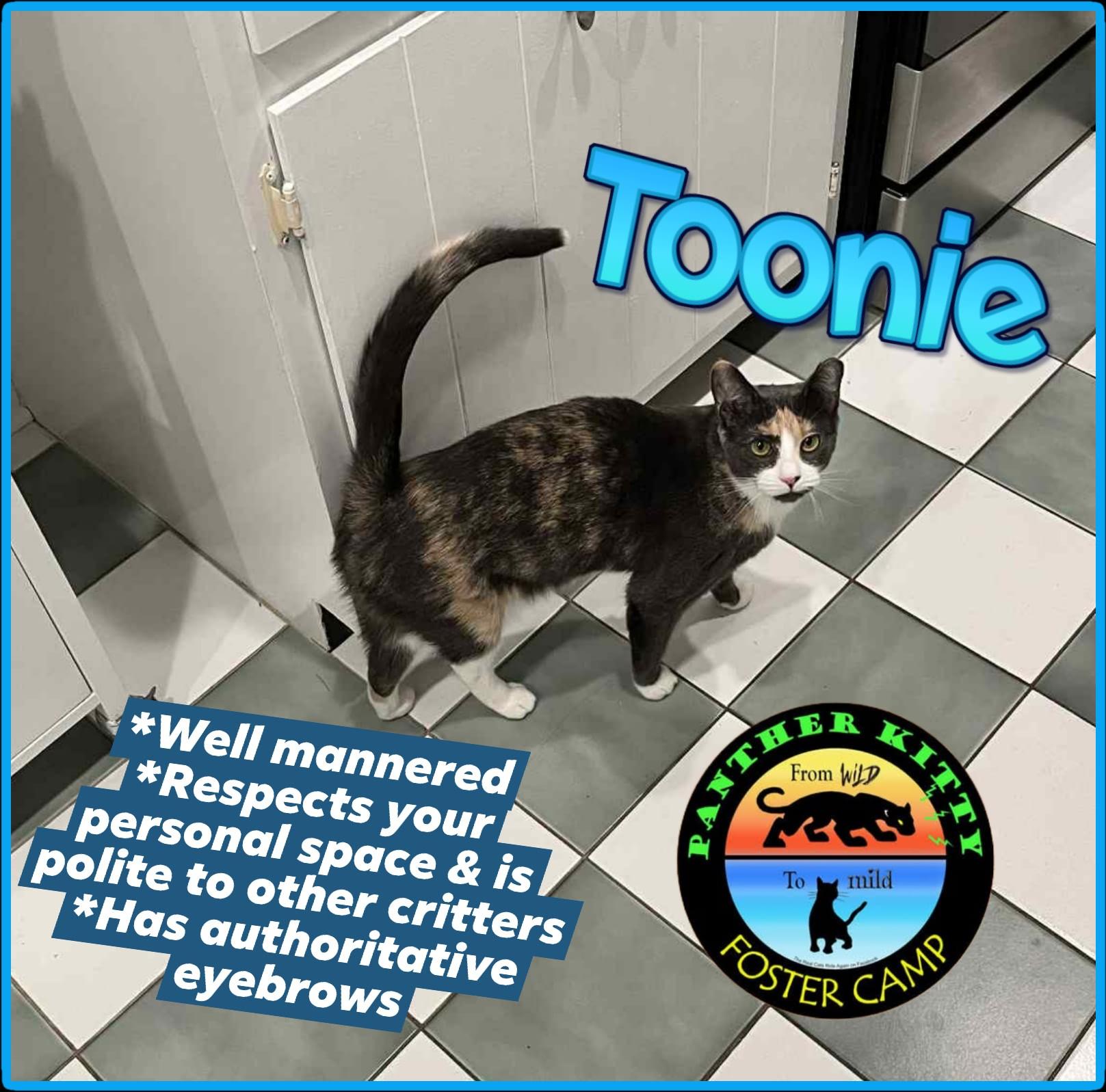 Toonie- wonderful, little girl in foster but cannot stay there forever!!  Needs a HOME!
