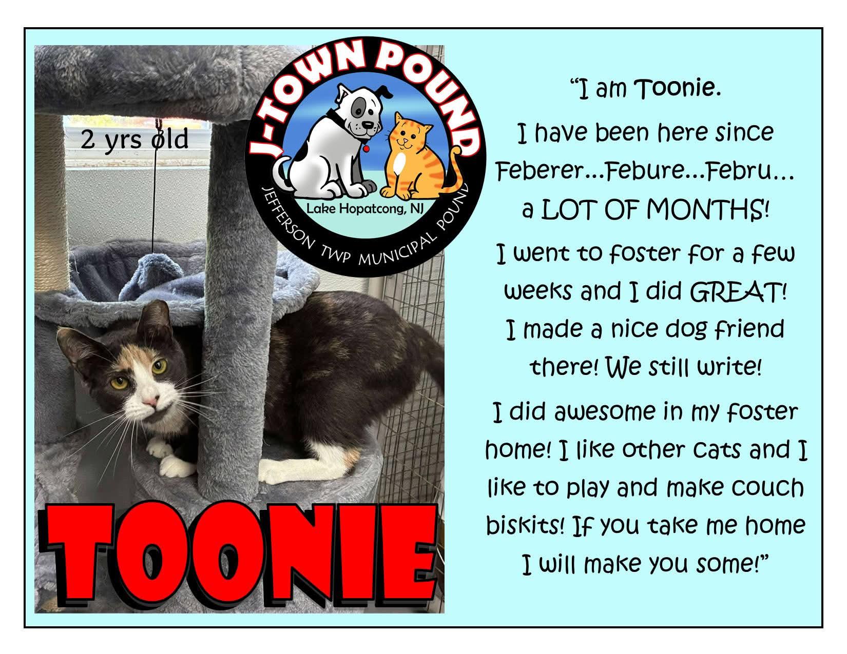 Toonie- wonderful, little girl in foster but cannot stay there forever!!  Needs a HOME! 5