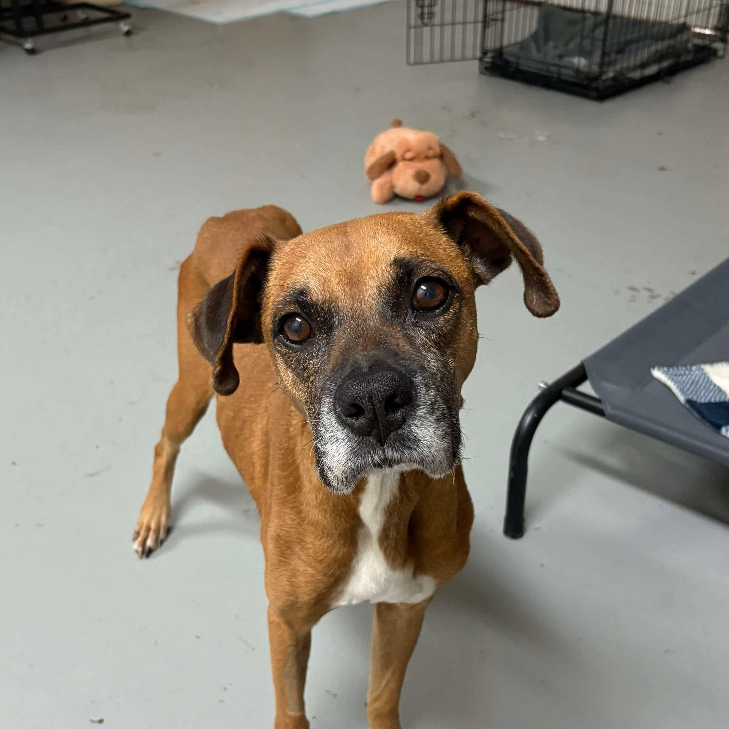 Sabine — thumbnail 3