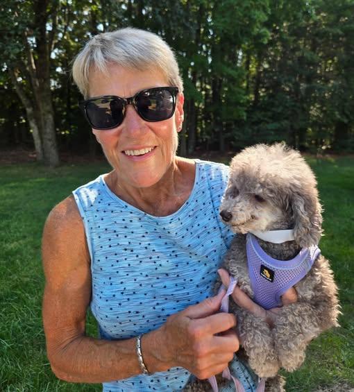 Enlarge Nico, a ADOPTABLE Miniature Poodle in Williamsburg, VA image 4/6