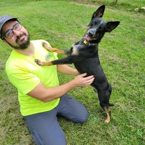 Enlarge Tina, a Adoptable mixed breed in Sparta, NJ image 5/6