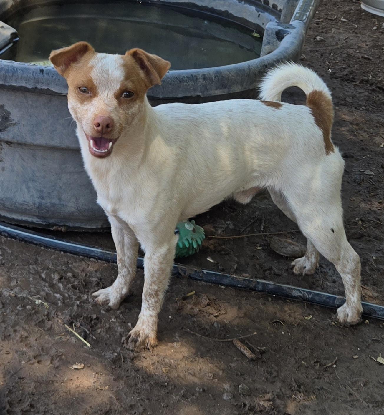 **LOGAN, Young Male unknown