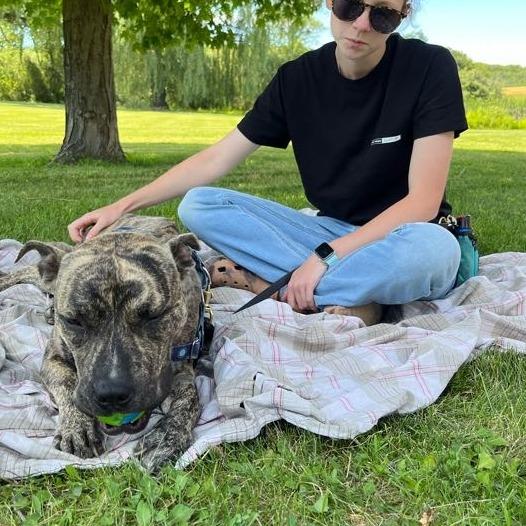 Enlarge Macho, a Adoptable Mixed Breed in Bangall, NY image 3/6