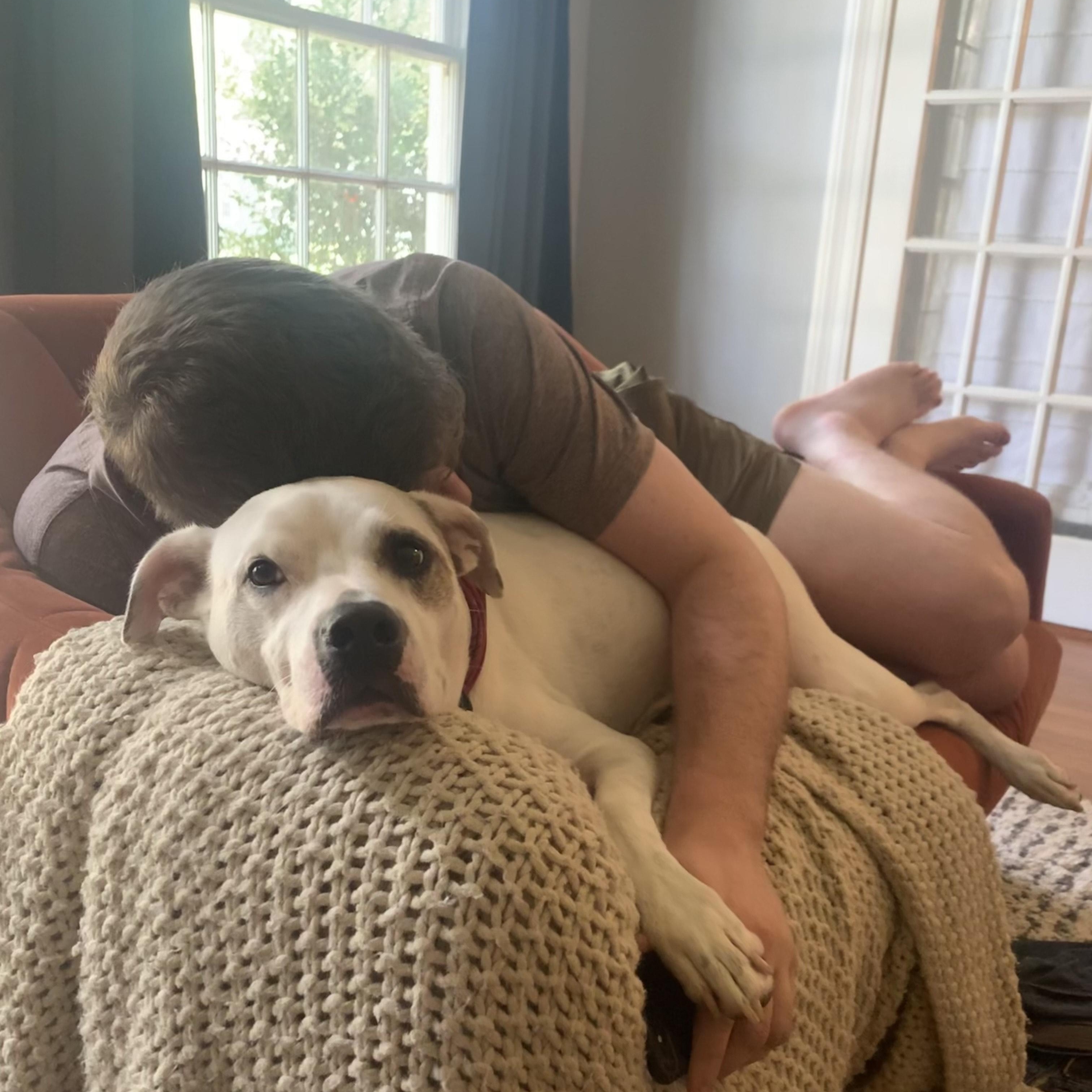 Enlarge Huey (158992) , a Adoptable mixed breed in Baton Rouge, LA image 4/5