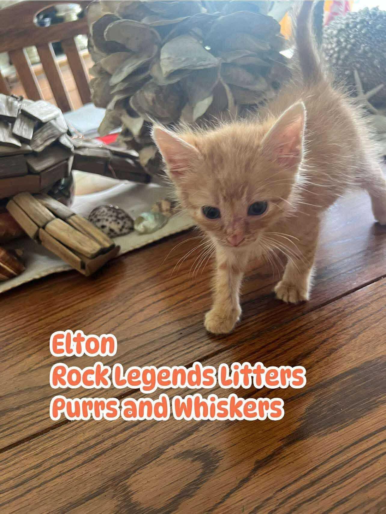 Elton