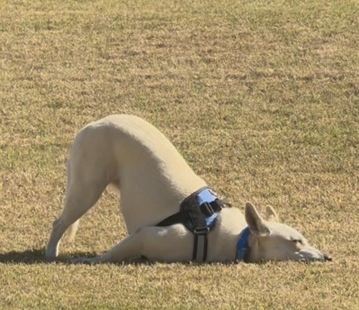 Lucy Lou — thumbnail 5