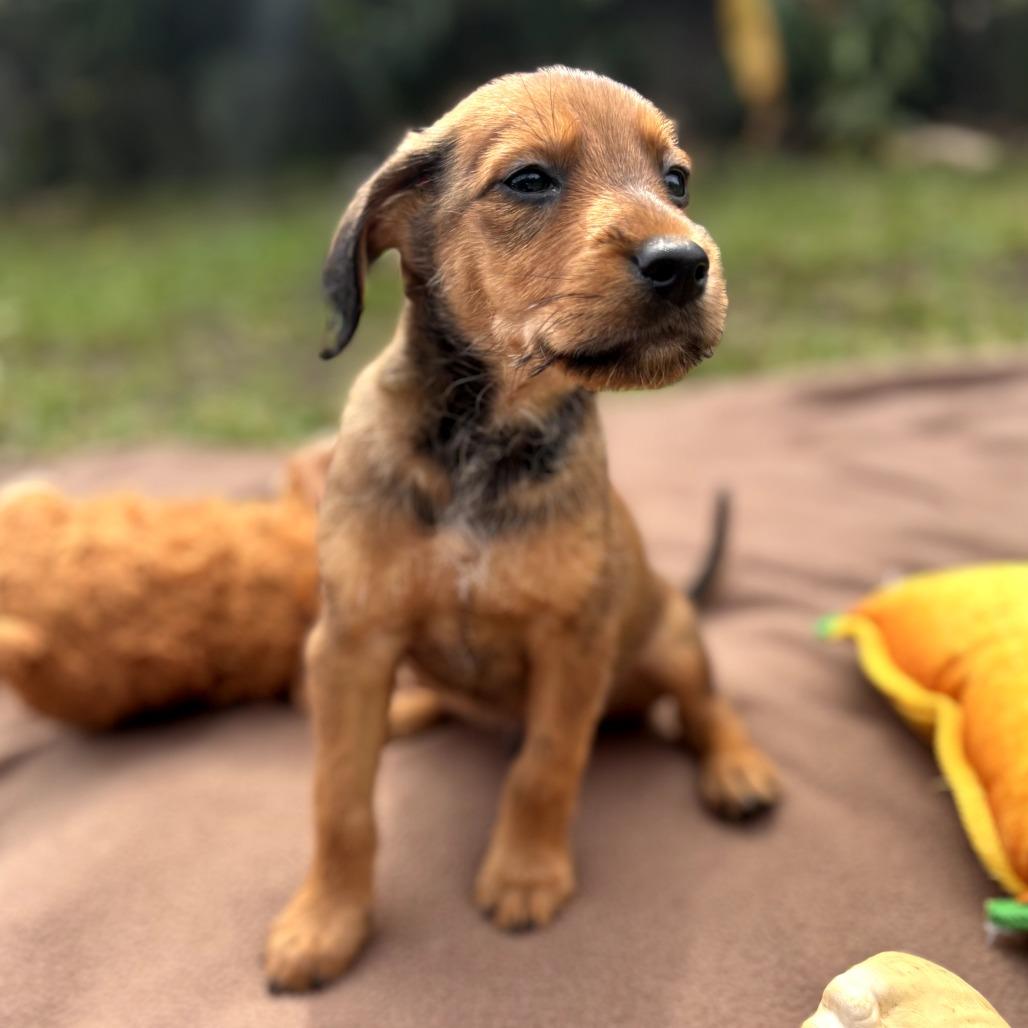 Hotel Litter: Regents Spire thumbnail 2