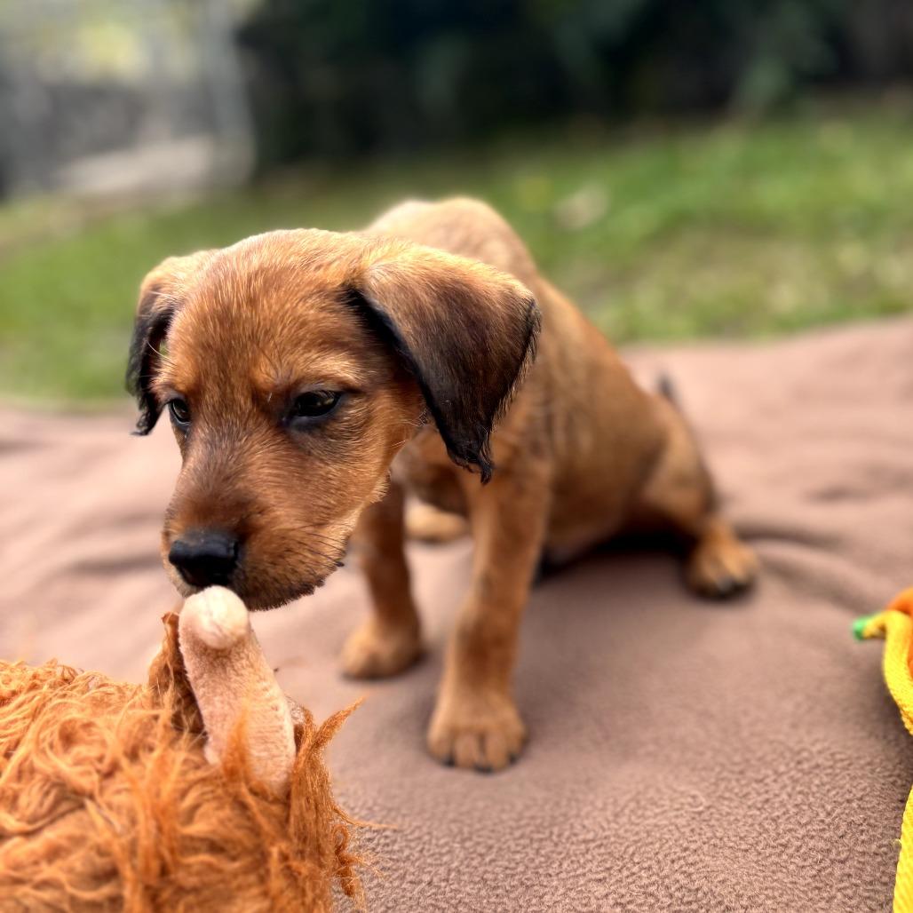 Hotel Litter: Regents Spire thumbnail 3