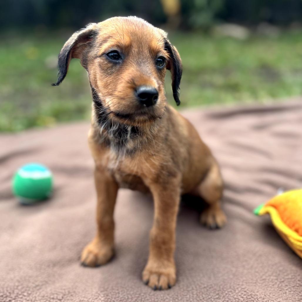 Hotel Litter: Regents Spire thumbnail 4