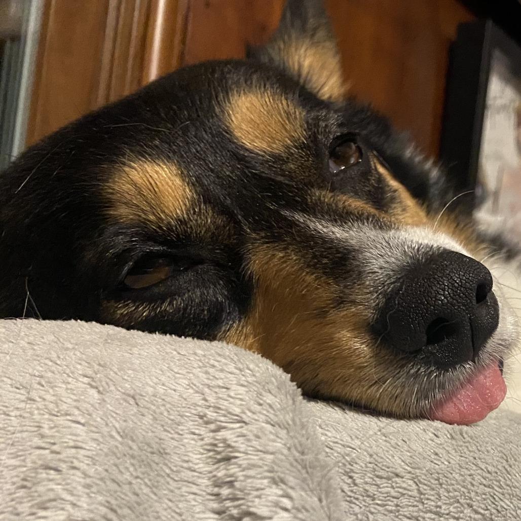 Willow with Winston — thumbnail 2