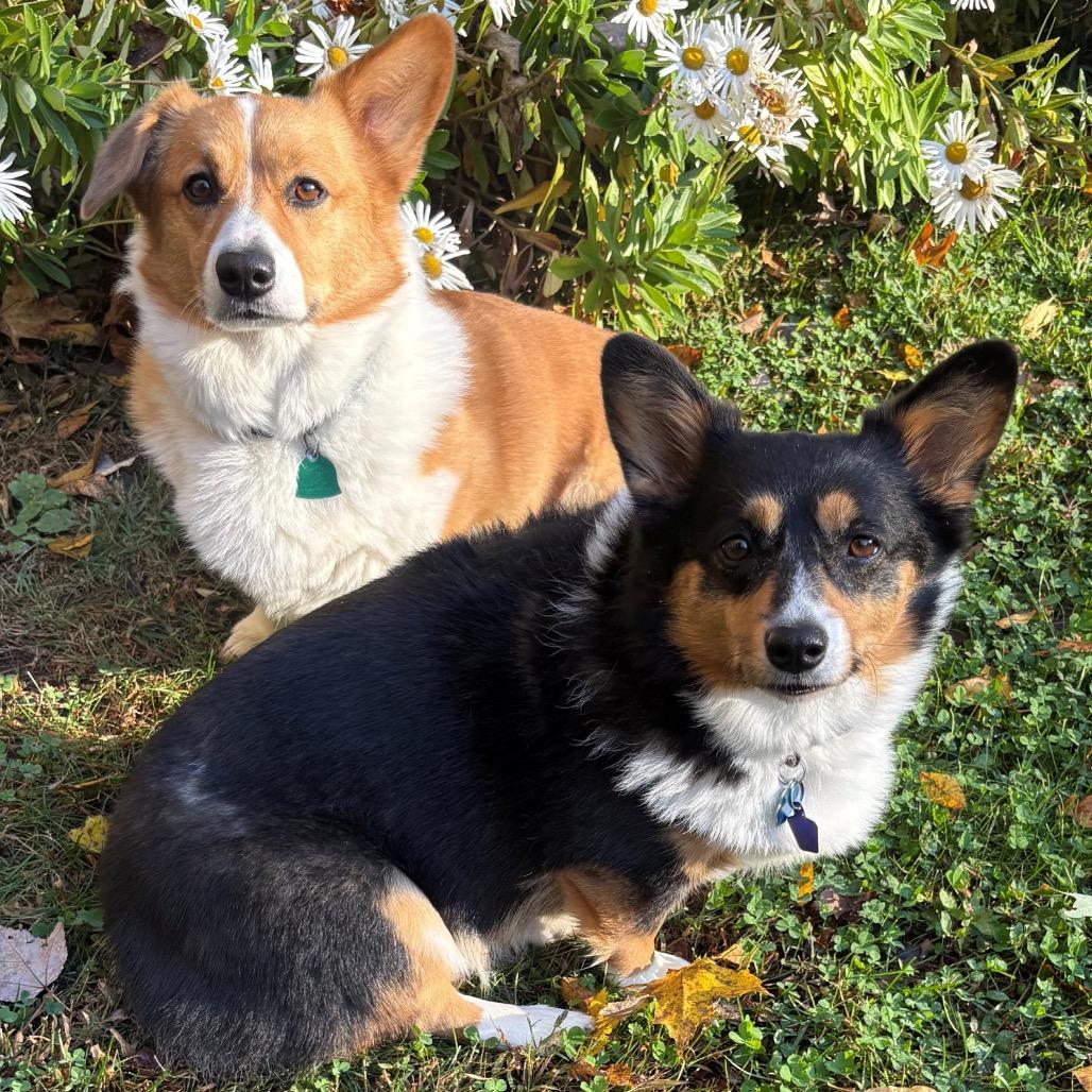 Willow with Winston — thumbnail 5